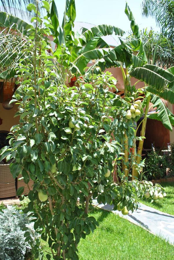 Auberge Kasbah Darla Tahanaout Bagian luar foto